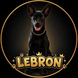 LeBron, o mascote da sala Hollywood